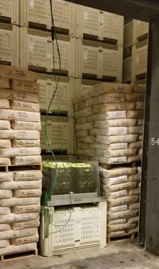 SCS-Safepod-0