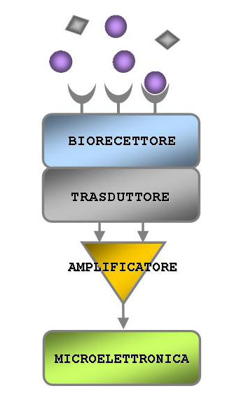1327324136biosensore1-ck